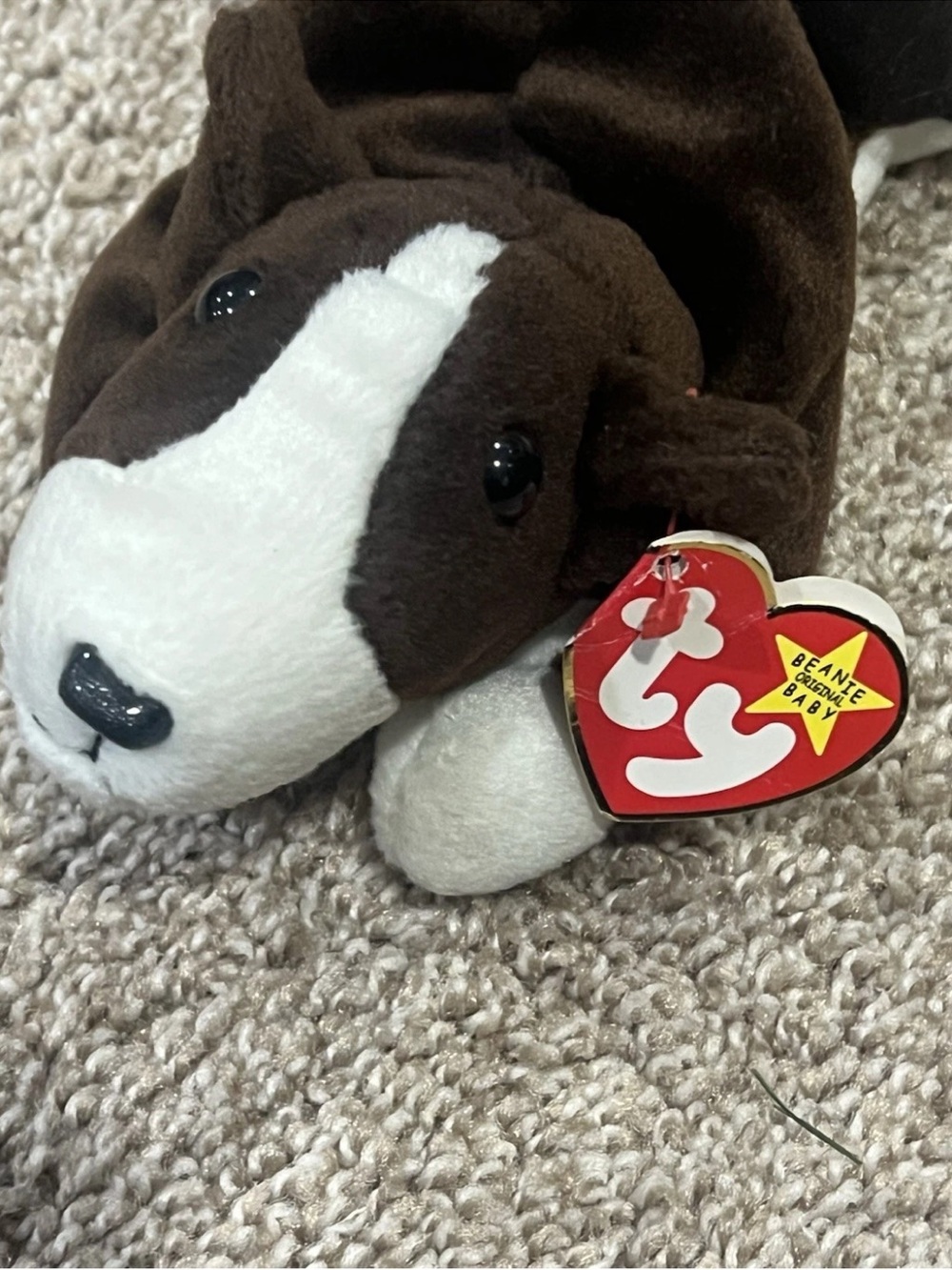 Ty Beanie Baby Bruno Chocolate Brown Bull Terrier Dog 9" 1997